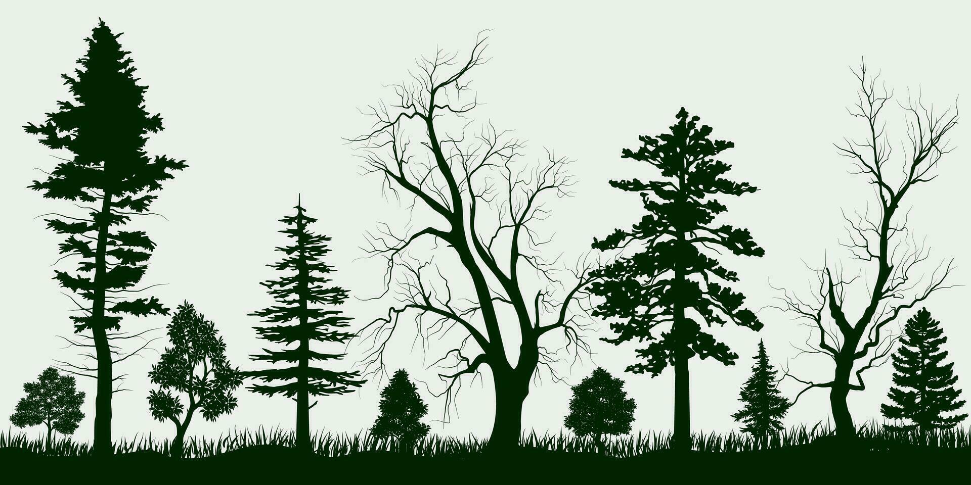 Forest, park, alley. Landscape of isolated trees. Silhouette vector. vector