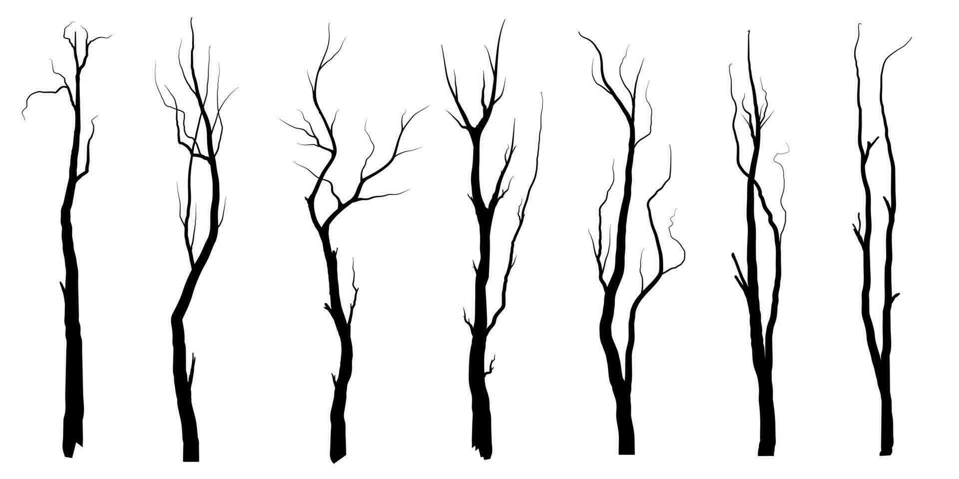 Black Branch Tree or Naked trees silhouettes. Hand drawn isolated illustrations. vector