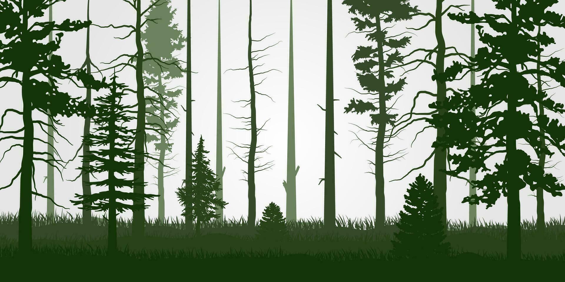 Tree Forest, park, alley. Landscape of isolated trees. Silhouette vector. vector