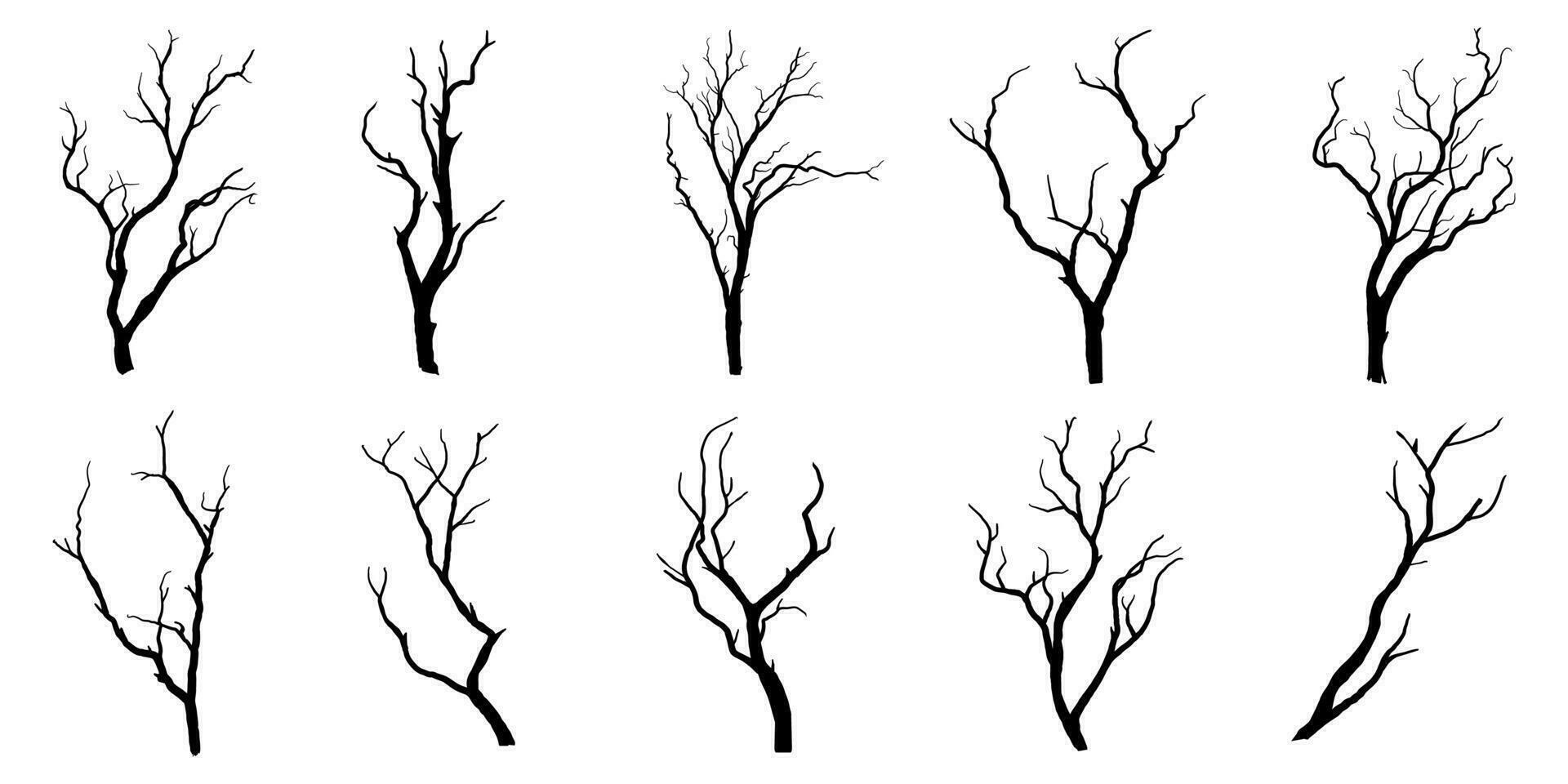 árbol de rama negra o siluetas de árboles desnudos. ilustraciones aisladas dibujadas a mano. vector