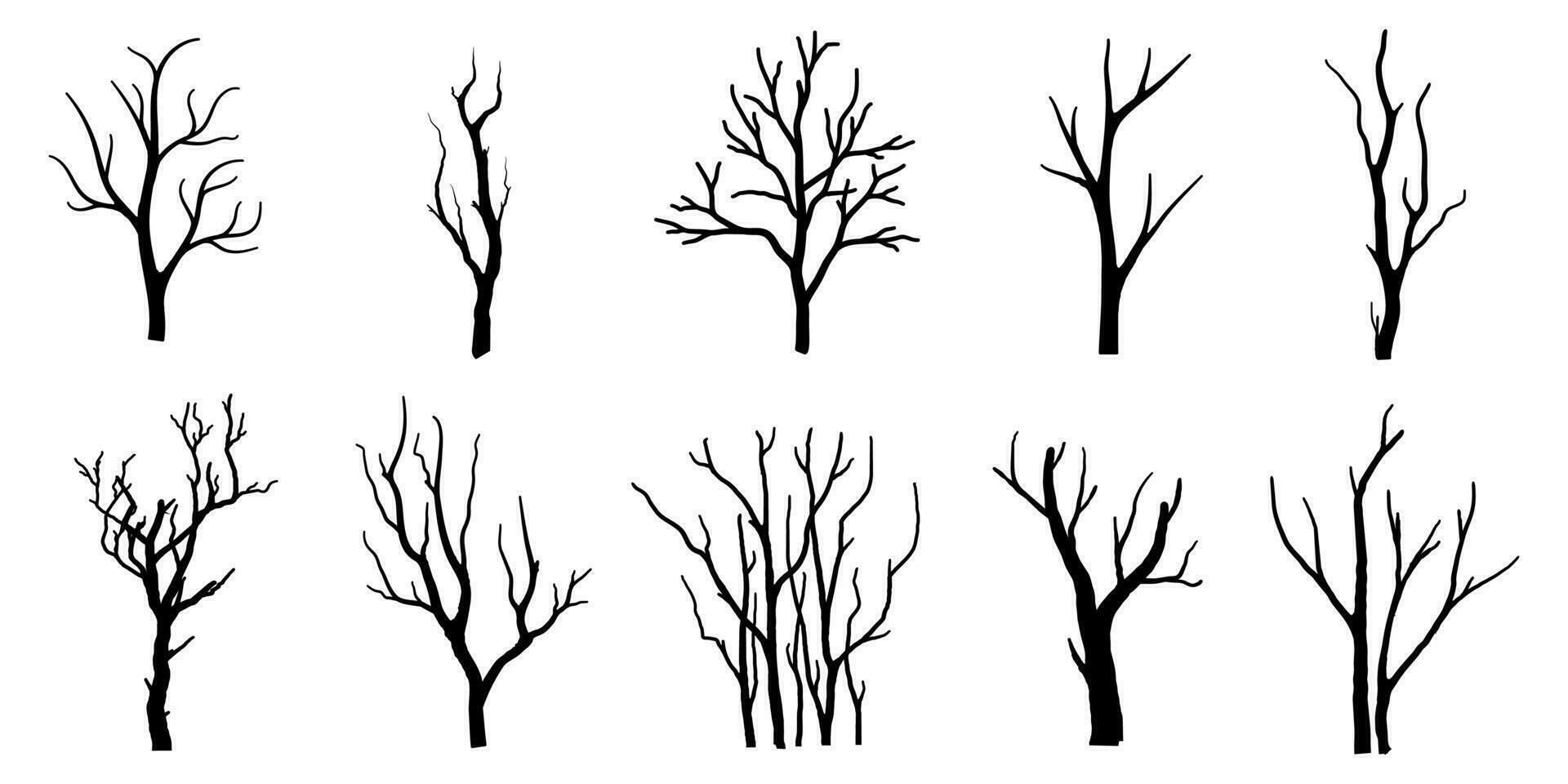 árbol de rama negra o siluetas de árboles desnudos. ilustraciones aisladas dibujadas a mano. vector