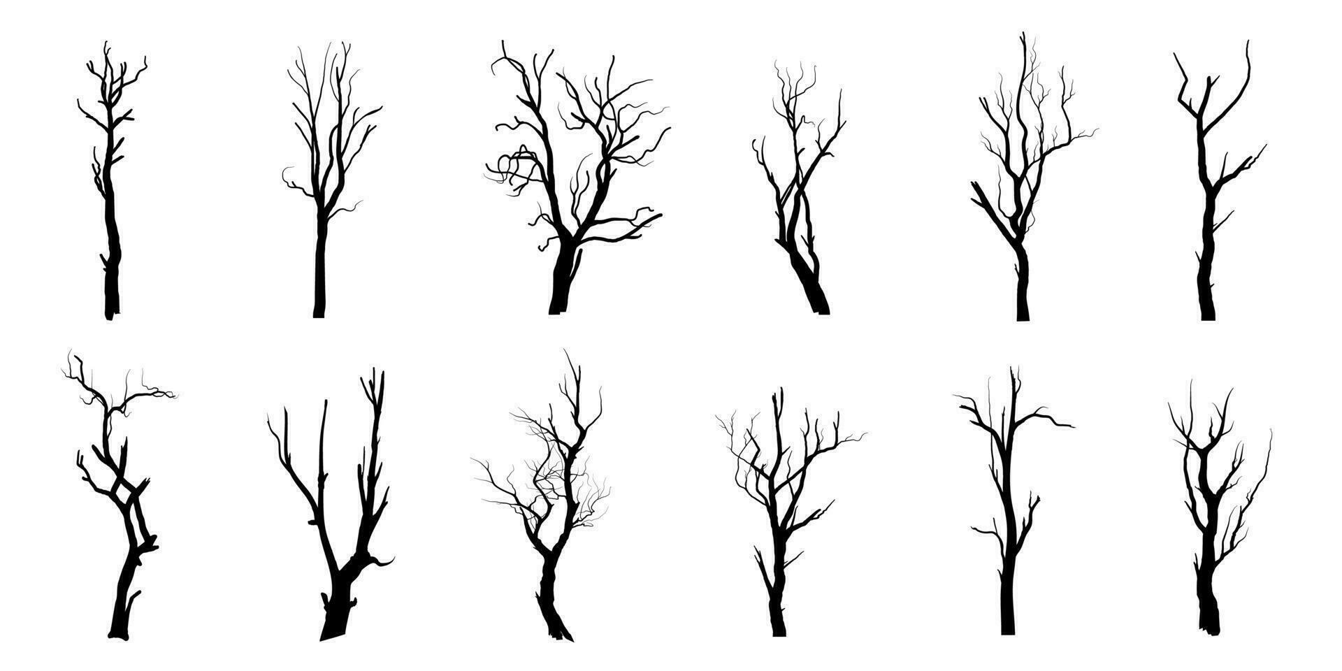 árbol de rama negra o siluetas de árboles desnudos. ilustraciones aisladas dibujadas a mano. vector