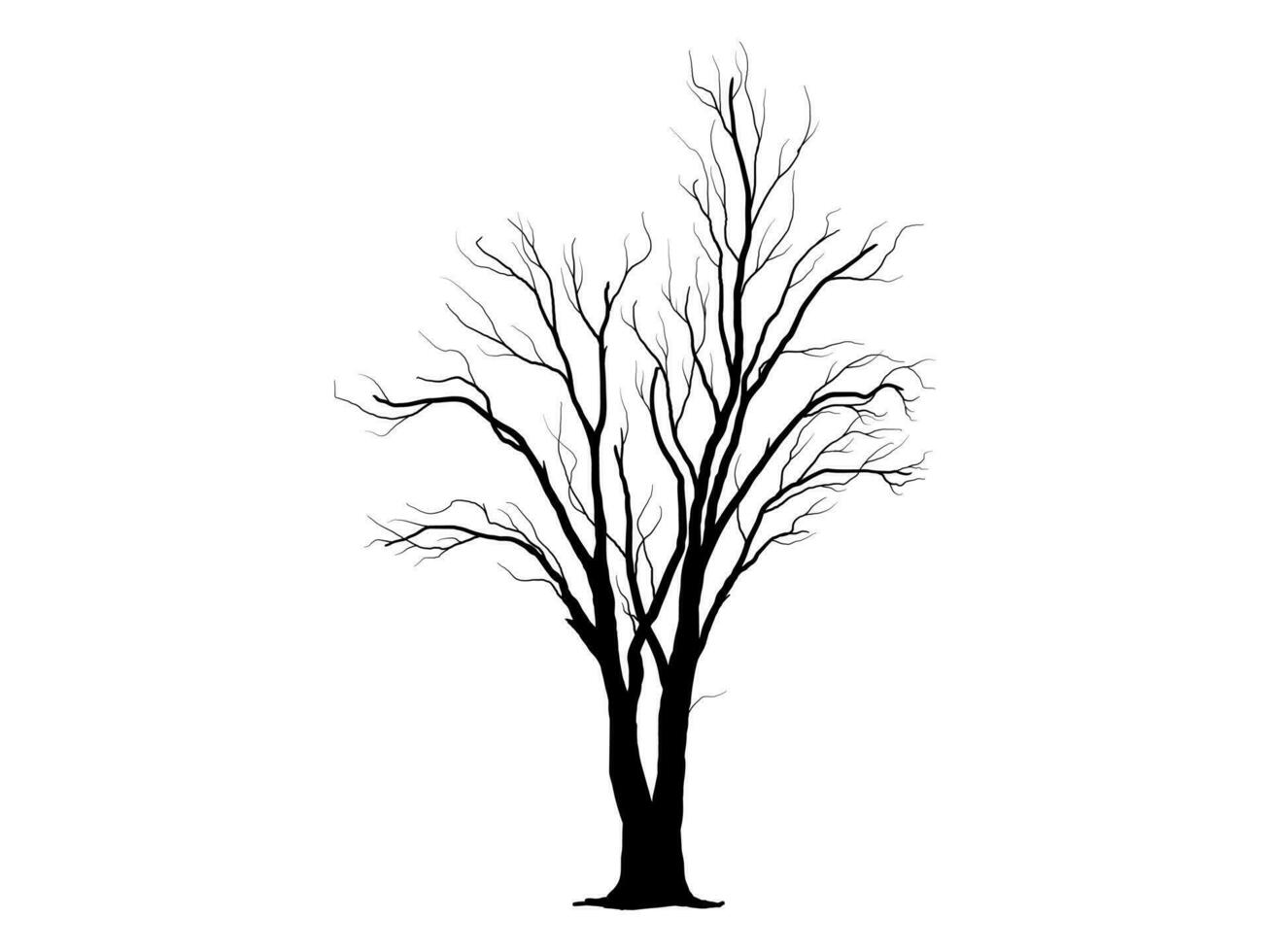 Black Branch Tree or Naked trees silhouettes. Hand drawn isolated illustrations. vector