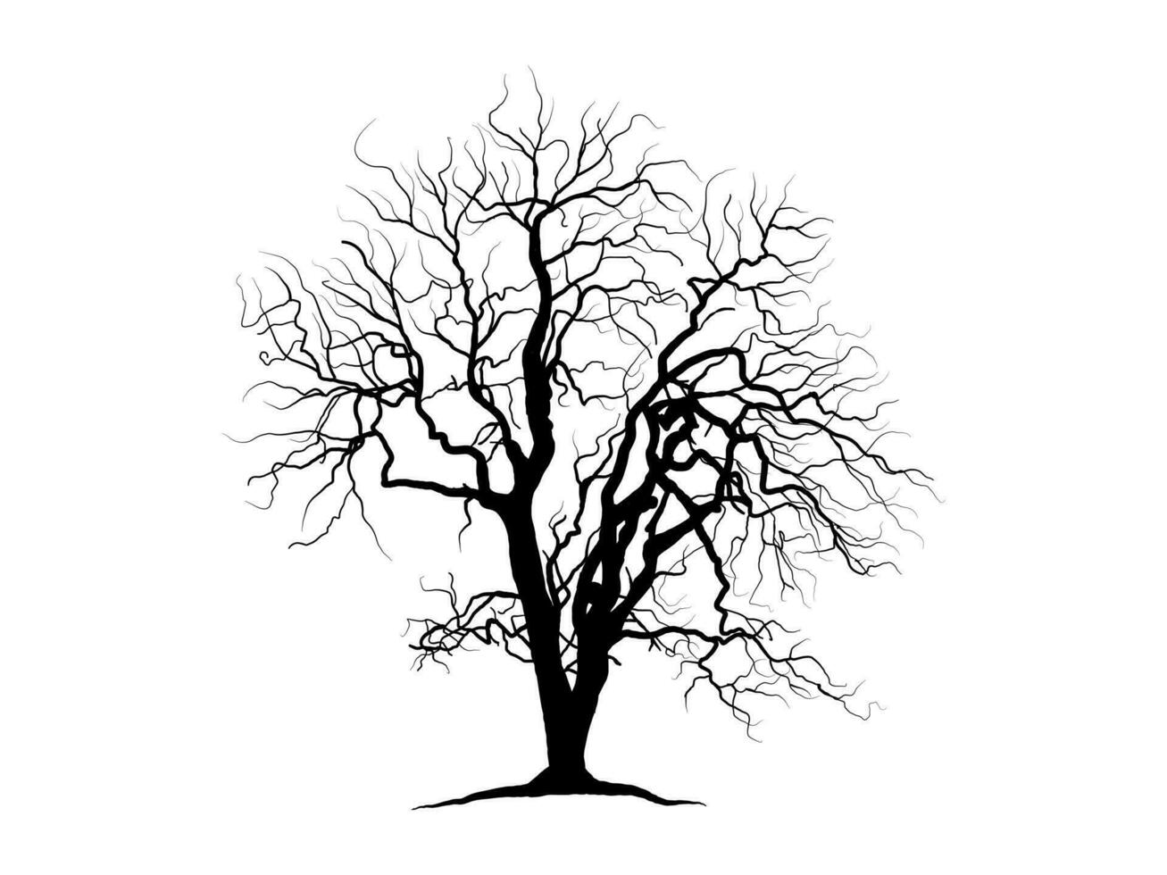 árbol de rama negra o siluetas de árboles desnudos. ilustraciones aisladas dibujadas a mano. vector