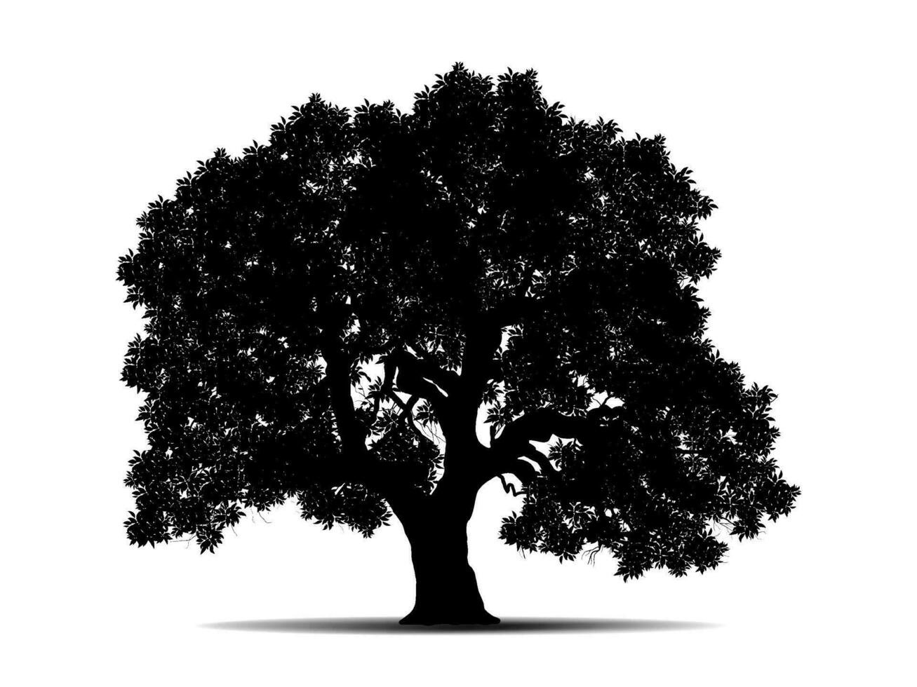 árbol de rama negra o siluetas de árboles desnudos. ilustraciones aisladas dibujadas a mano. vector