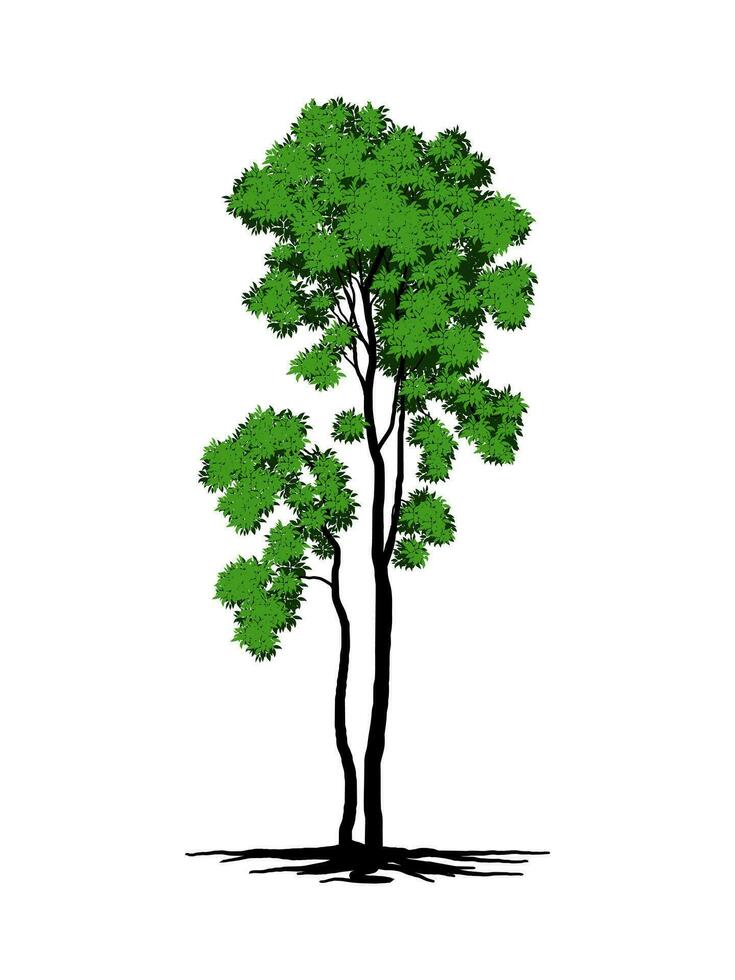 Tree and roots with green leaves look beautiful and refreshing. Tree and roots LOGO style. vector