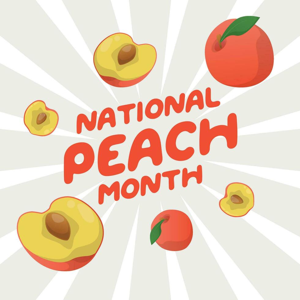 national peach month design template for celebration. peach vector template. flat peach design illustration. peach fruit. banner design.