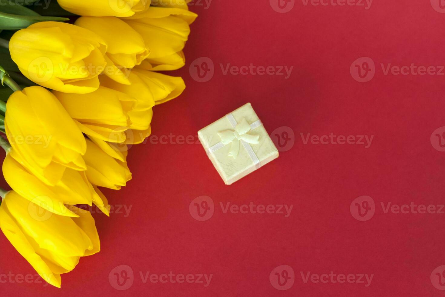 A bouquet of fresh yellow tulips on a red background. A small gift box next to the tulips. Spring flowers. The concept of spring or holiday, March 8, International Women's Day, photo