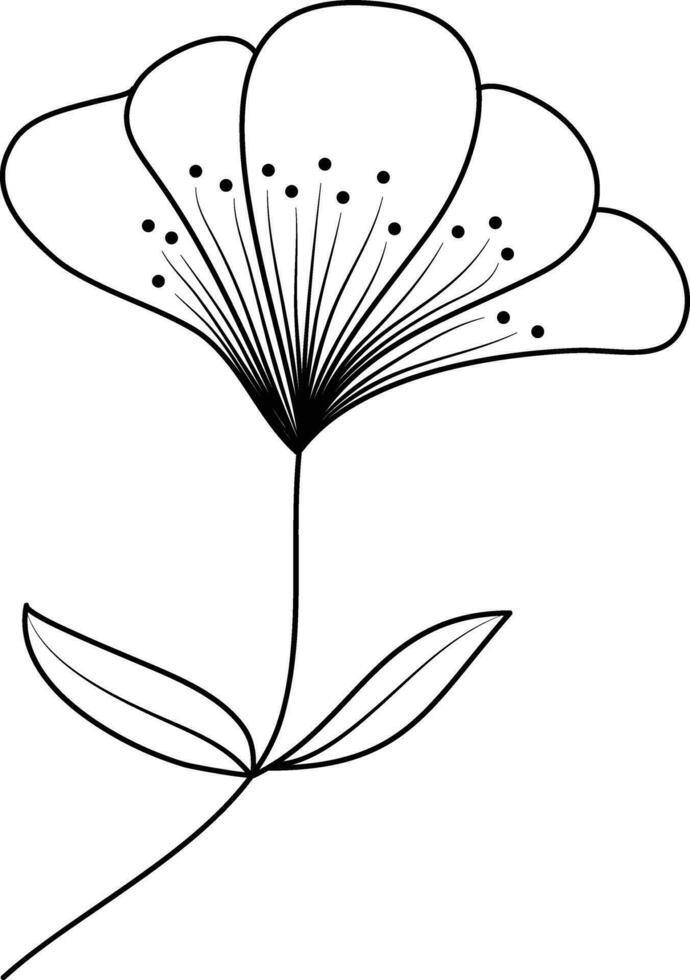 Decorative Flower Line Art Illustration vector