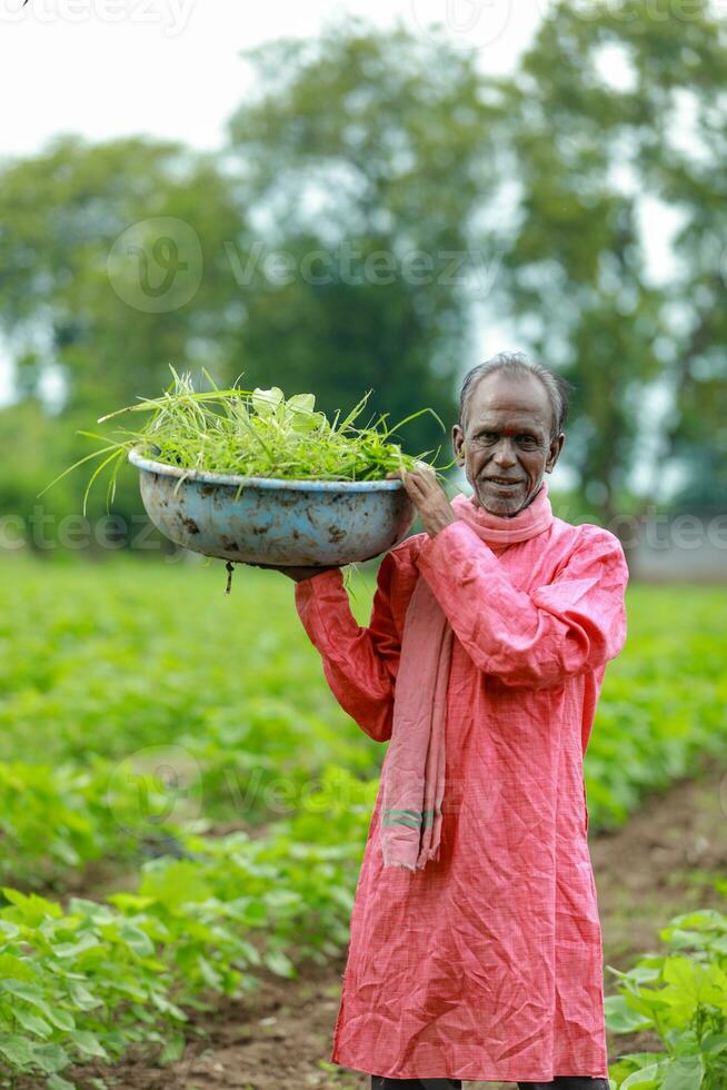 Indian happy farm worker , working in farm photo