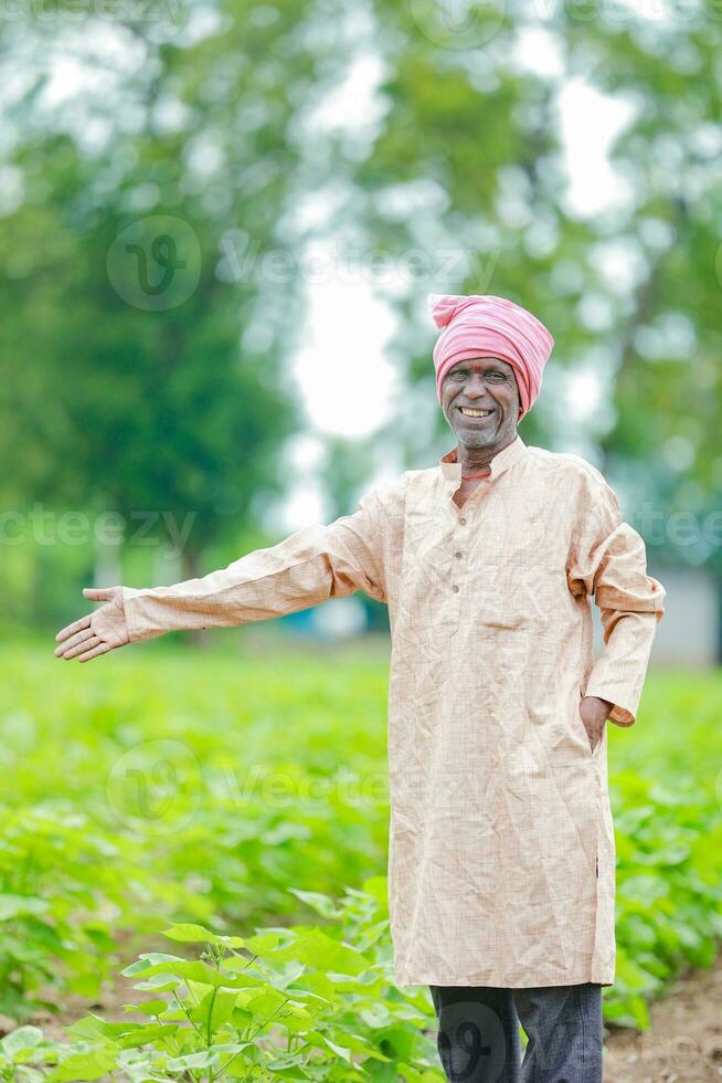 Indian farmer showing cotton tree in cotton farm , happy farmer photo