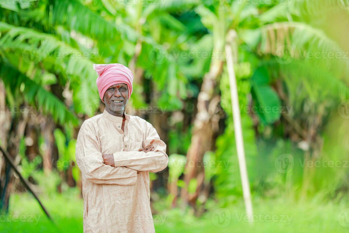 happy indian farmer. banana plant, old poor farmer , worker photo