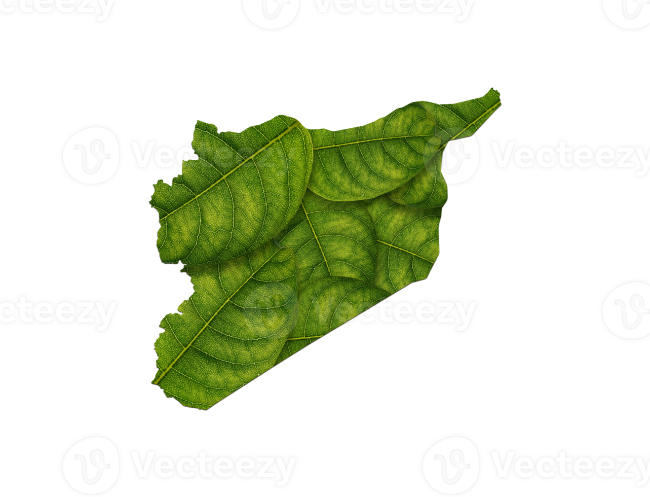 Syria map made of green leaves isolated png