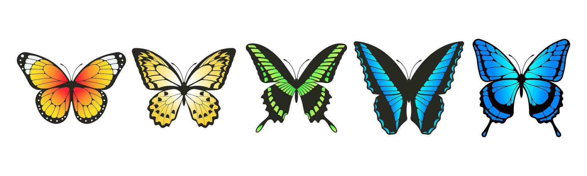 colección de mariposas vector ilustración.