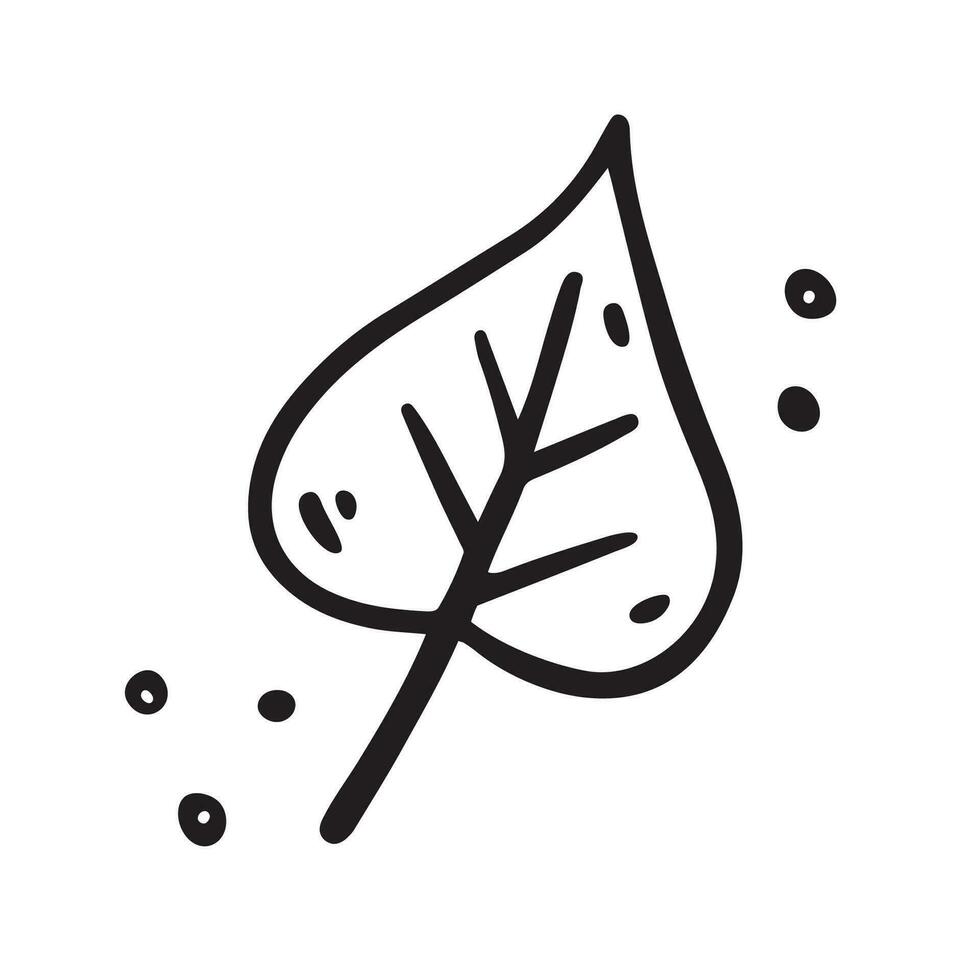 Hand drawn autumn Leaf of birch. Vector illustration in Doodle style.