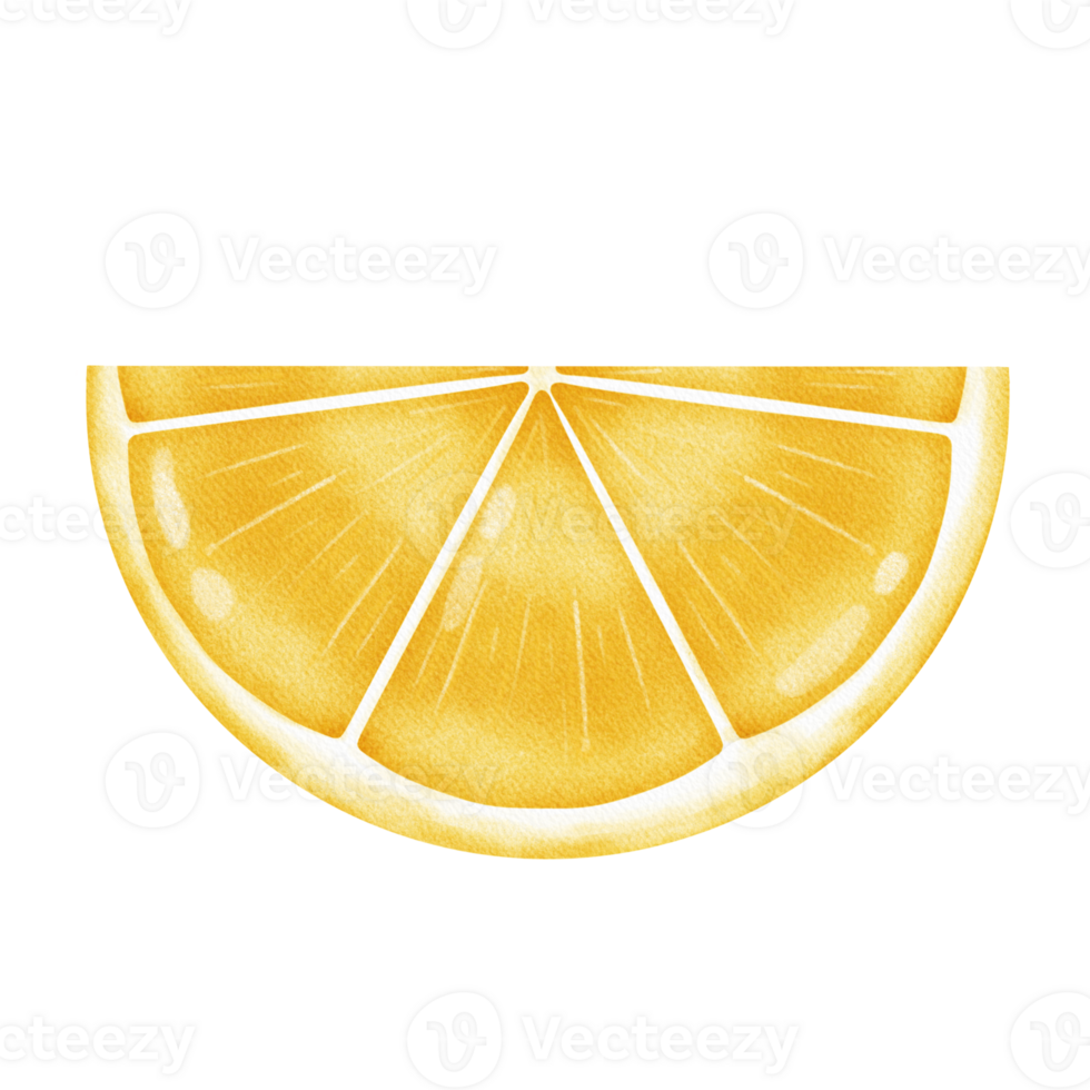 Watercolor lemons clipart png