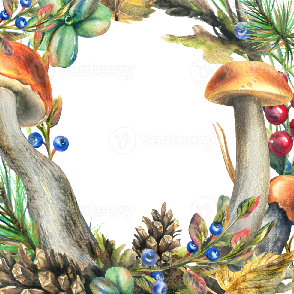 Forest mushrooms, boletus, chanterelles and blueberries, lingonberries, twigs, cones, leaves. Watercolor illustration, hand drawn frame, wreath template png