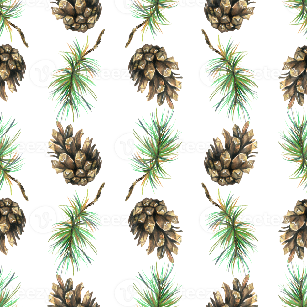 Pine branches and cones. Watercolor illustration hand drawn. Seamless pattern forest, summer, autumn png