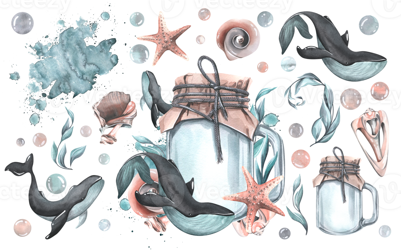 A glass jar with whales, seashells, algae, bubbles, spot, splashes and a starfish. Watercolor illustration hand drawn. Isolated composition with elements png