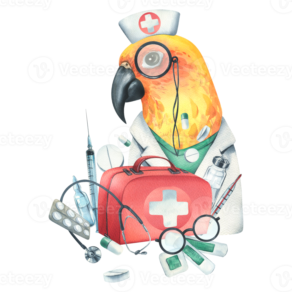 Parrot doctor in a dressing gown, glasses, with a stethoscope, a suitcase and medical instruments, pills, injections. Watercolor illustration, hand drawn. Isolated composition png