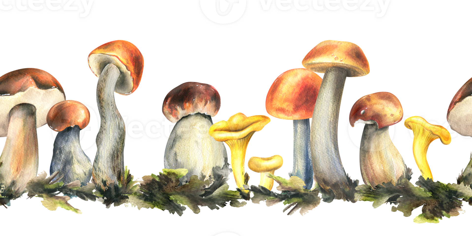 Forest edible mushrooms porchini, boletus, chanterelles with moss. Watercolor illustration, hand drawn. Seamless border png