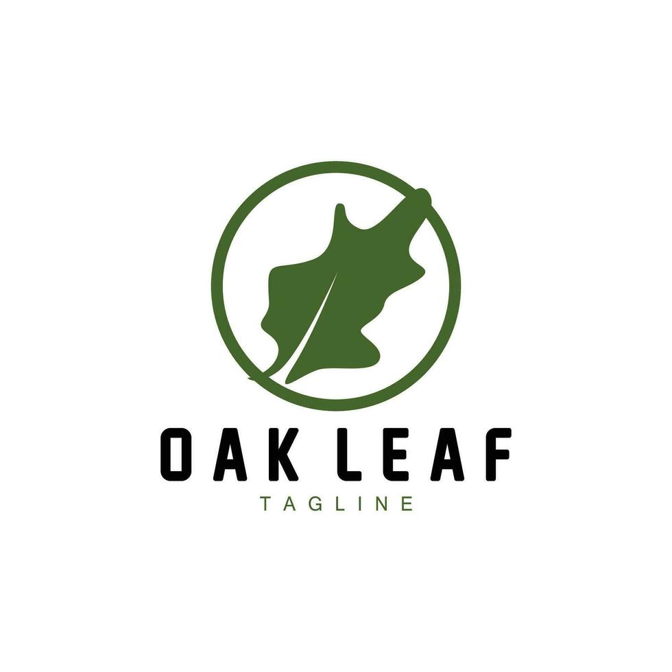 Oak Leaf Logo Design, Simple Green Plant Vector, Template Illustration vector