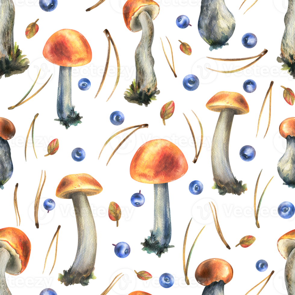 Forest edible mushrooms with orange caps boletus, leaves, blueberries and pine needles. Watercolor illustration, hand drawn. Seamless pattern for packaging, textile, wallpaper png