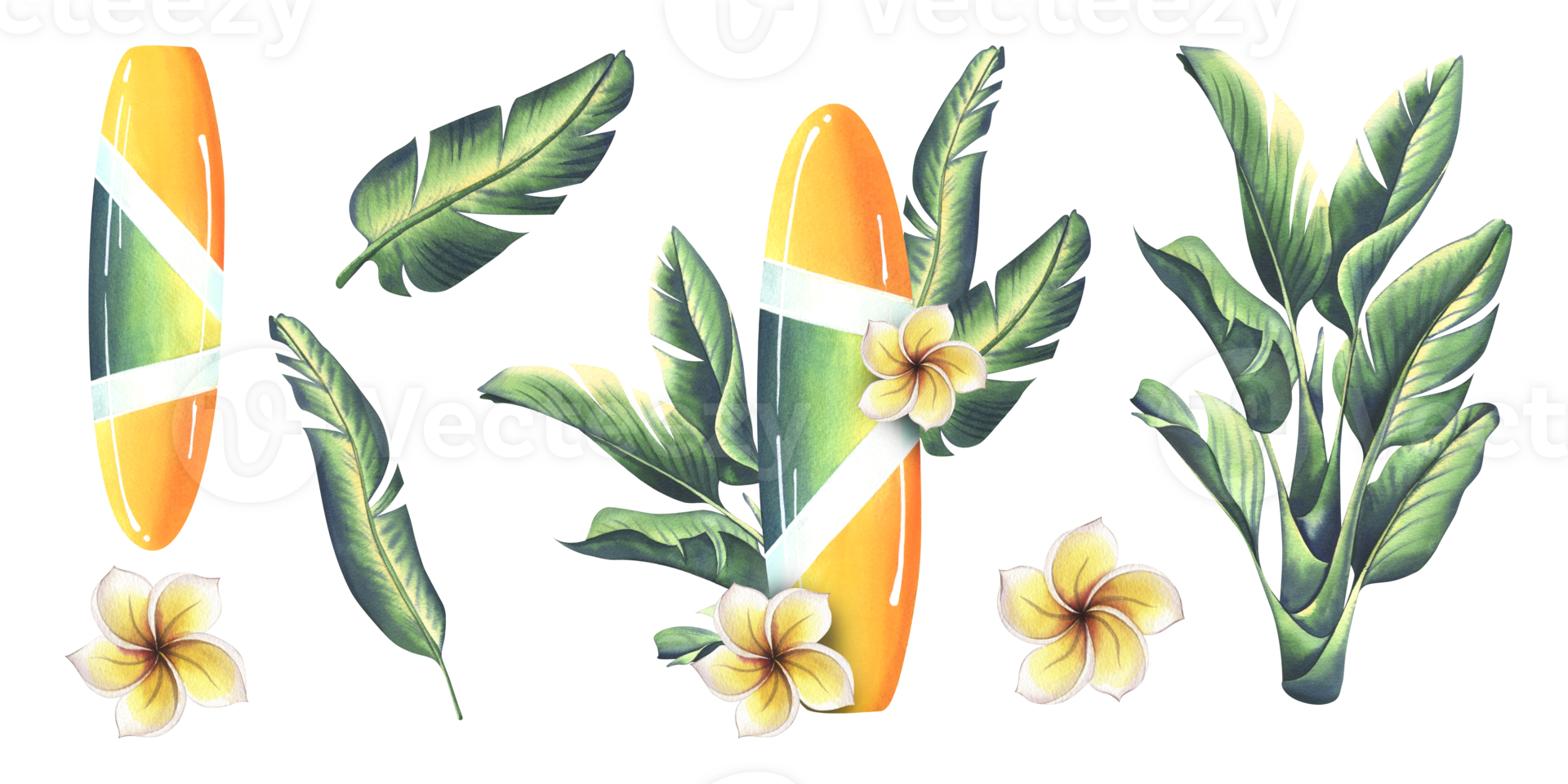 Surfboard in yellow and green with stripes with tropical leaves and frangipani flowers. Watercolor illustration hand drawn. Set of isolated elements png