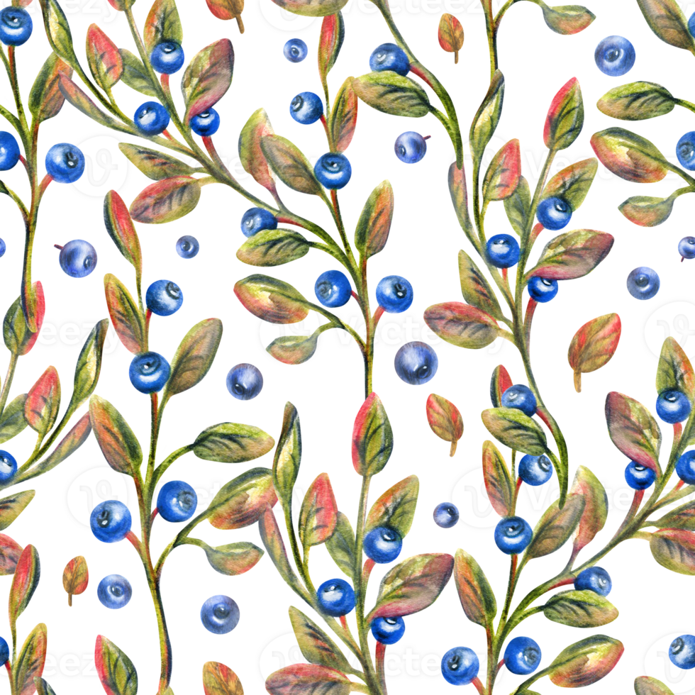Forest autumn blueberries with leaves. Illustration hand drawn with watercolor crayons. Seamless pattern png