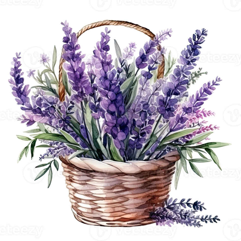 Aquarell Lavendel Blume Strauß isoliert png