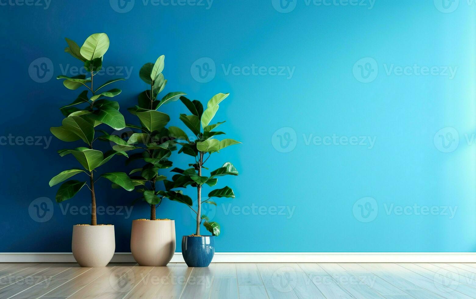 The indoor potted plants decoration in modern room with a wooden floor and blue wall. photo