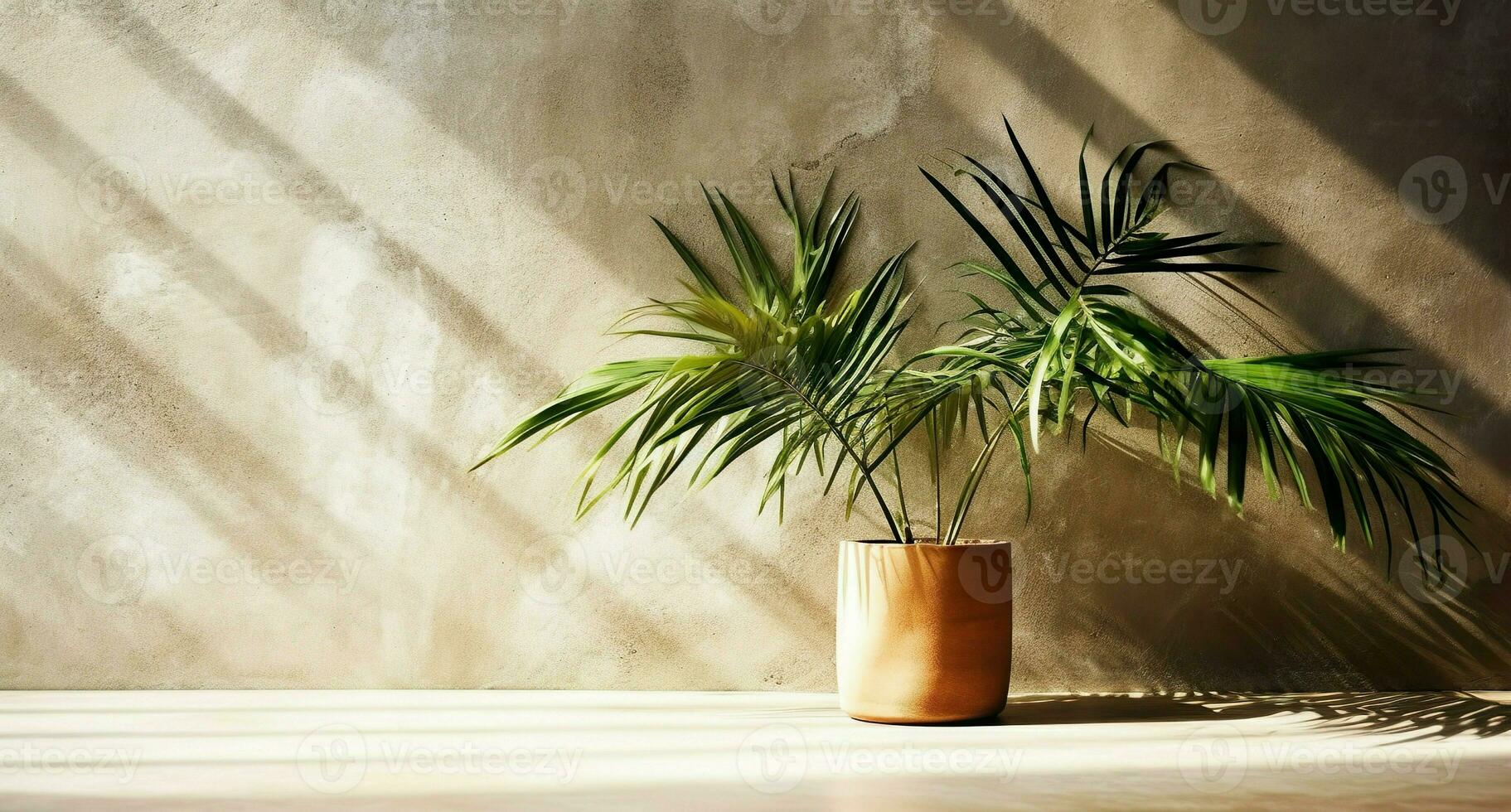 Brown cement wall and floor, palm tree in vase in a sunlight, long shadow for luxury interior design decoration, product display background, photo