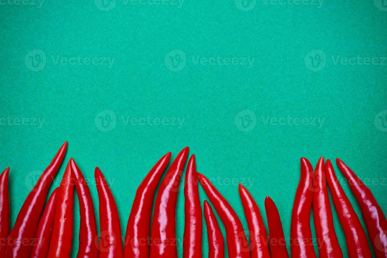 Spicy red chili on green background photo