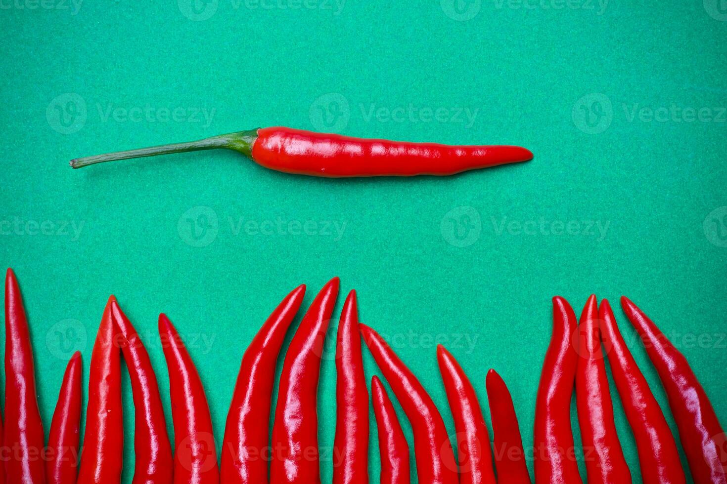 Spicy red chili on green background photo