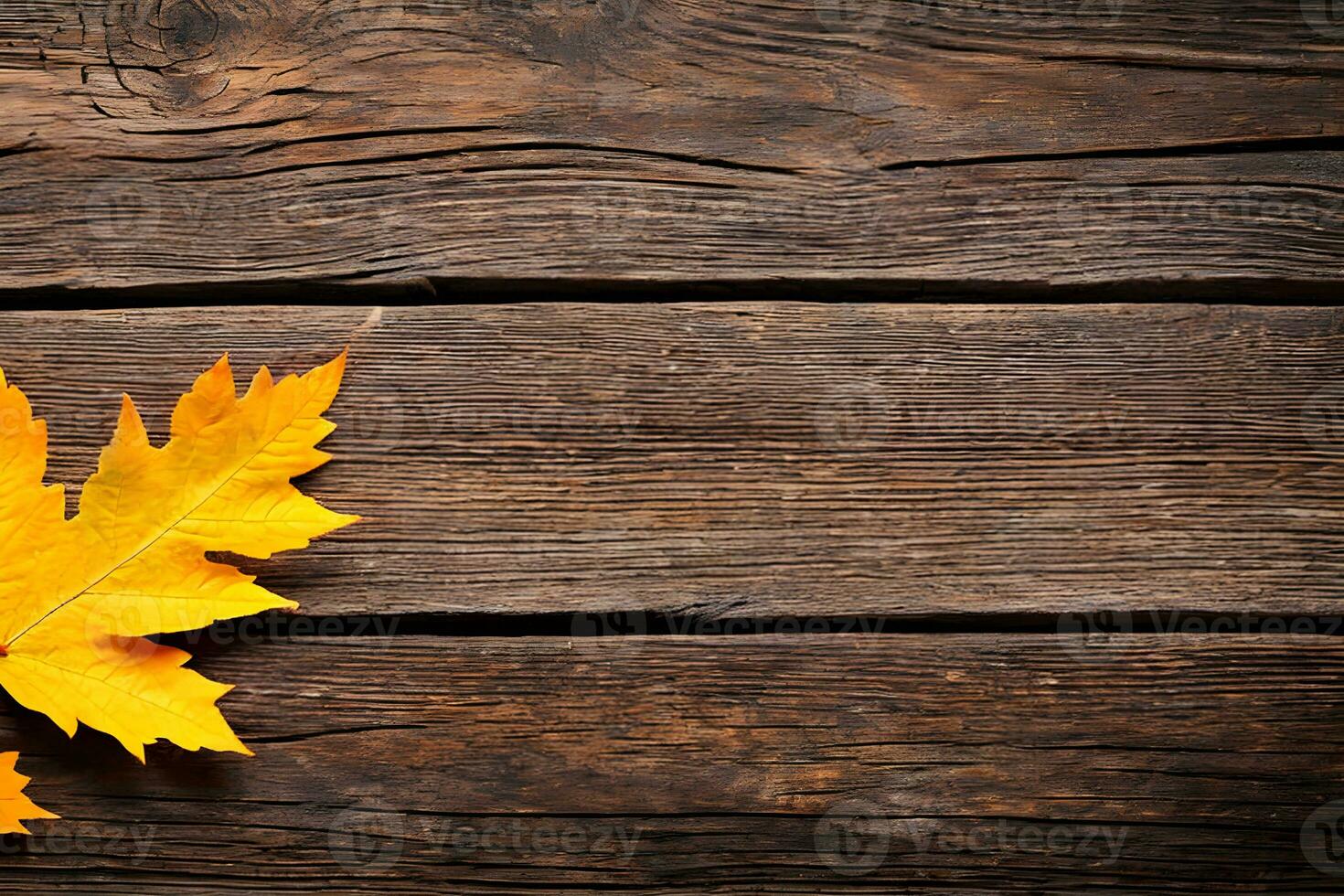 Autumn leaves over wood background photo