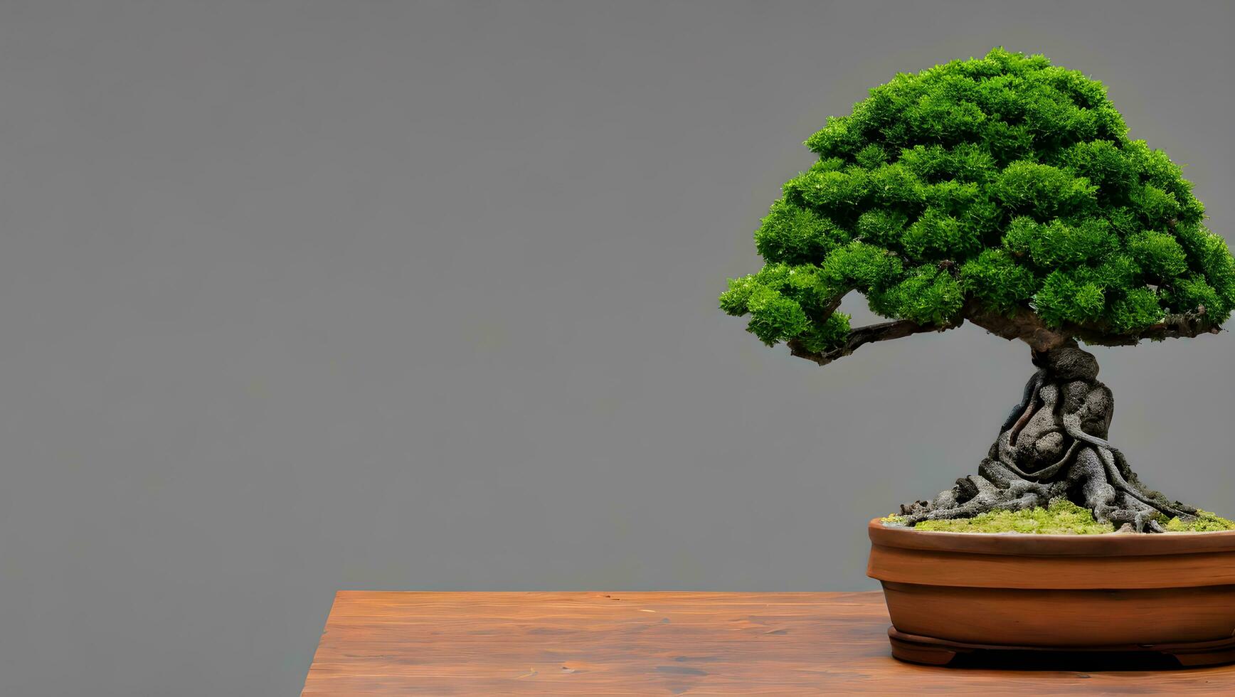 verde bonsai árbol en mesa foto