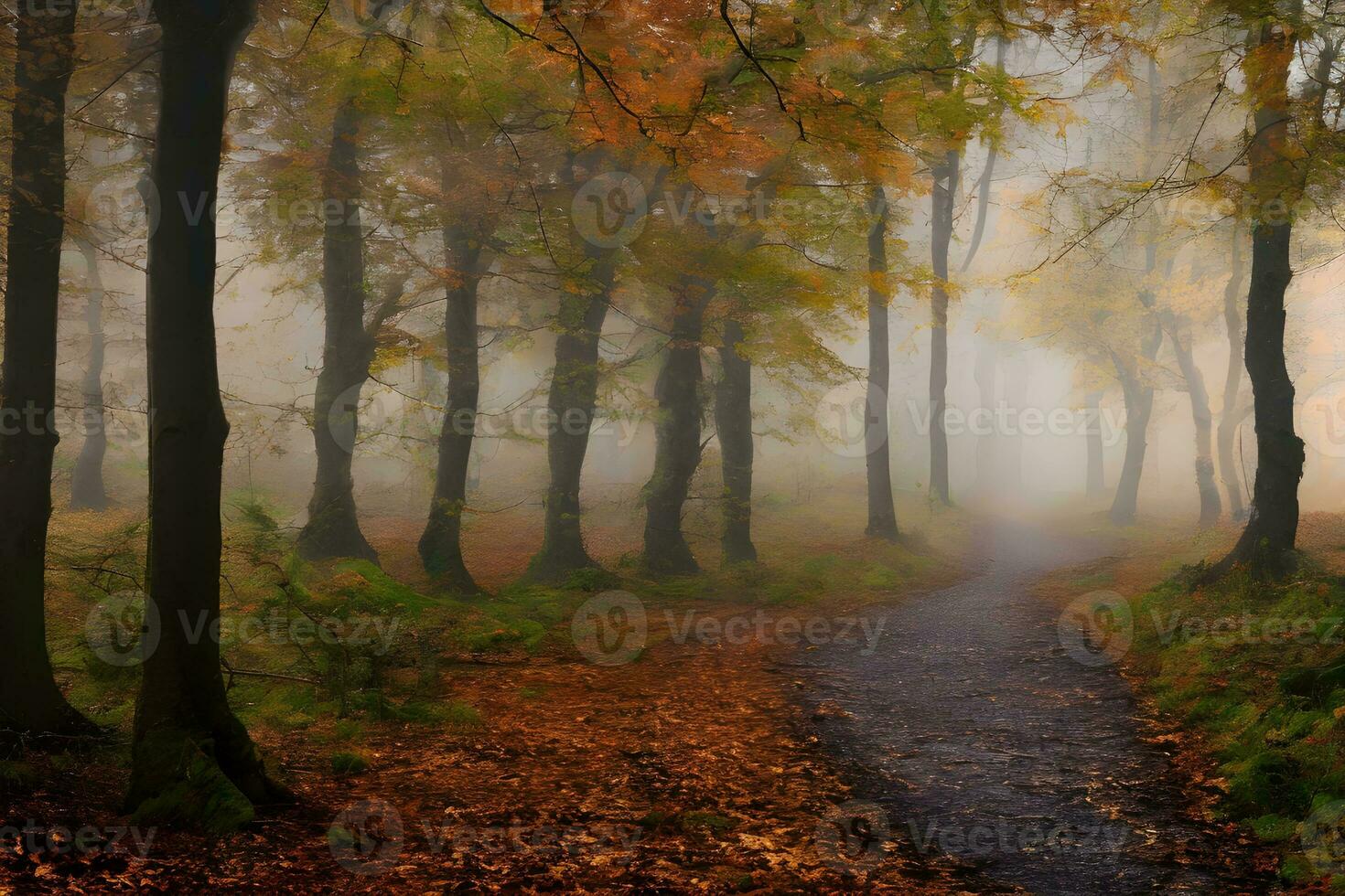 Dark path in a misty autumn forest photo