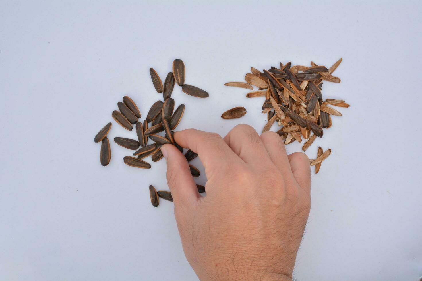 Sunflower seeds and shell after eating, isolate, white background photo