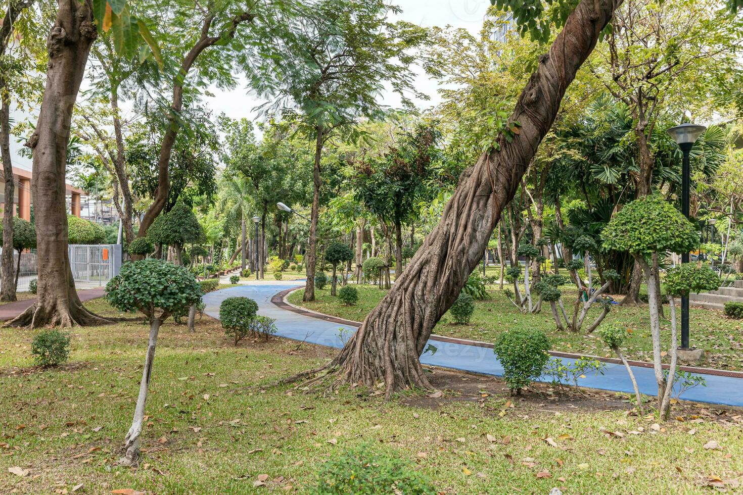 Walkway in a natural park with good weather photo