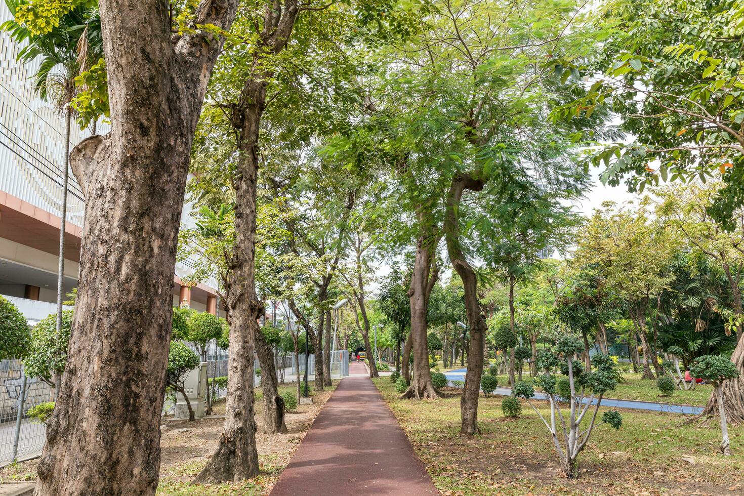 Walkway in a natural park with good weather photo