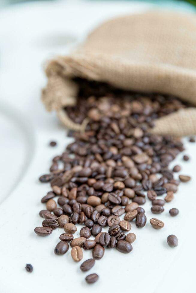 coffee beans in bag isolated on white background photo