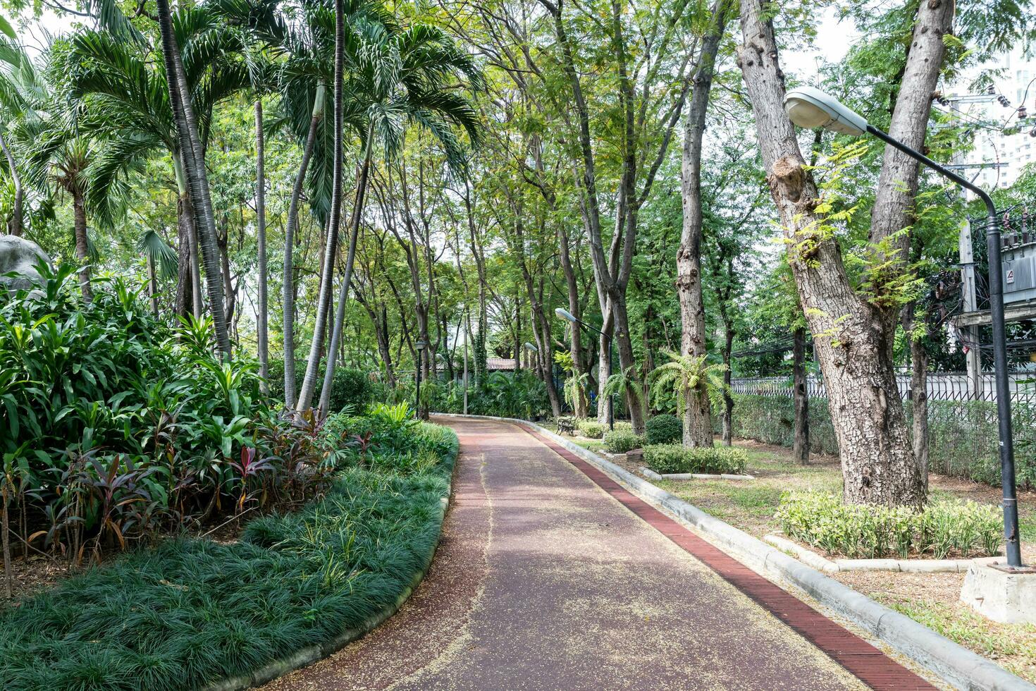 Walkway in a natural park with good weather photo
