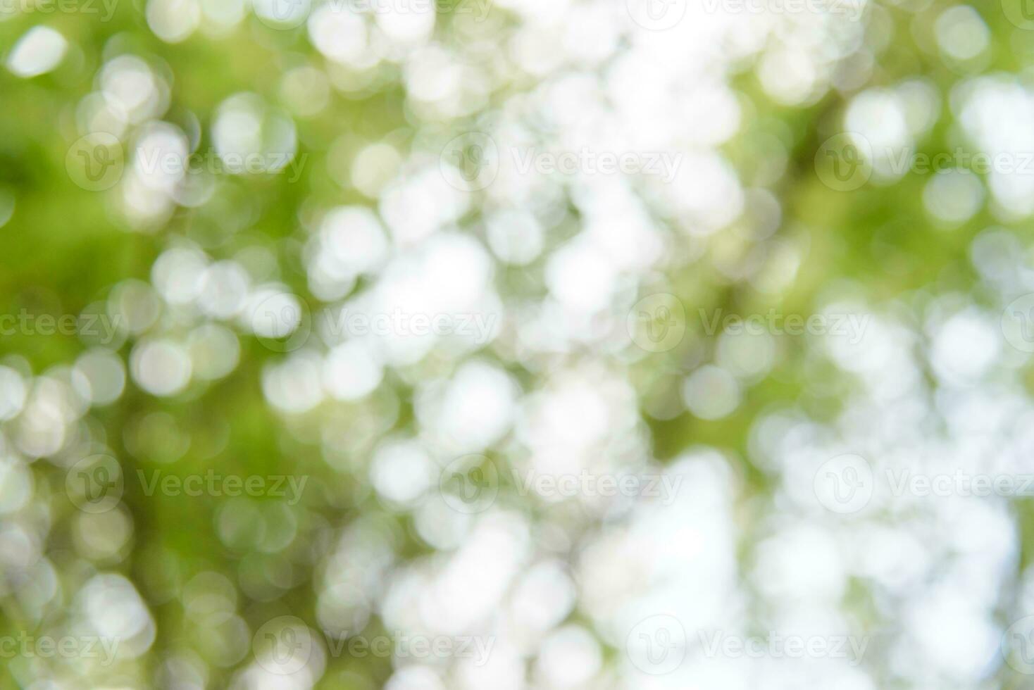 el resumen antecedentes con el suave bokeh de el Fresco hoja. foto