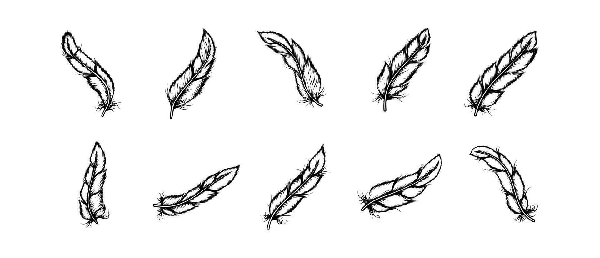 Feather Hand Drawn Illustration Vector Set