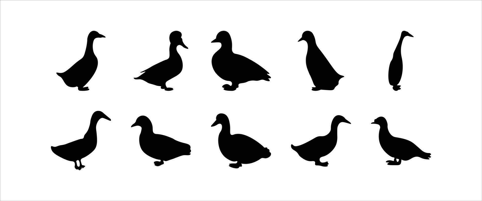 Duck Silhouette Illustration Vector Set