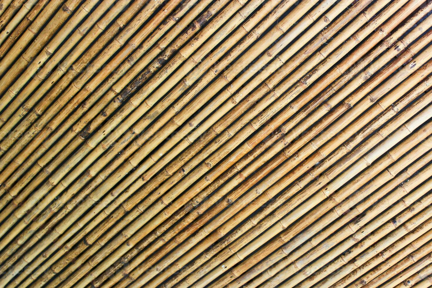 Bamboo walls for the background photo