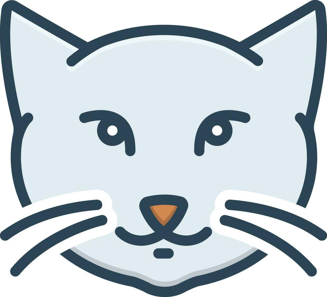 color icon for kitty cat vector