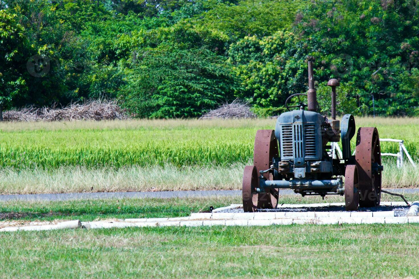 Tractor in a field of grass. photo