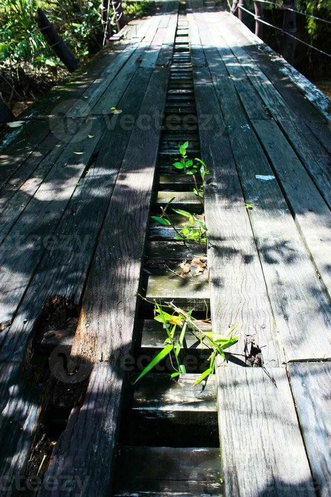 madera puente con verde malas hierbas. foto