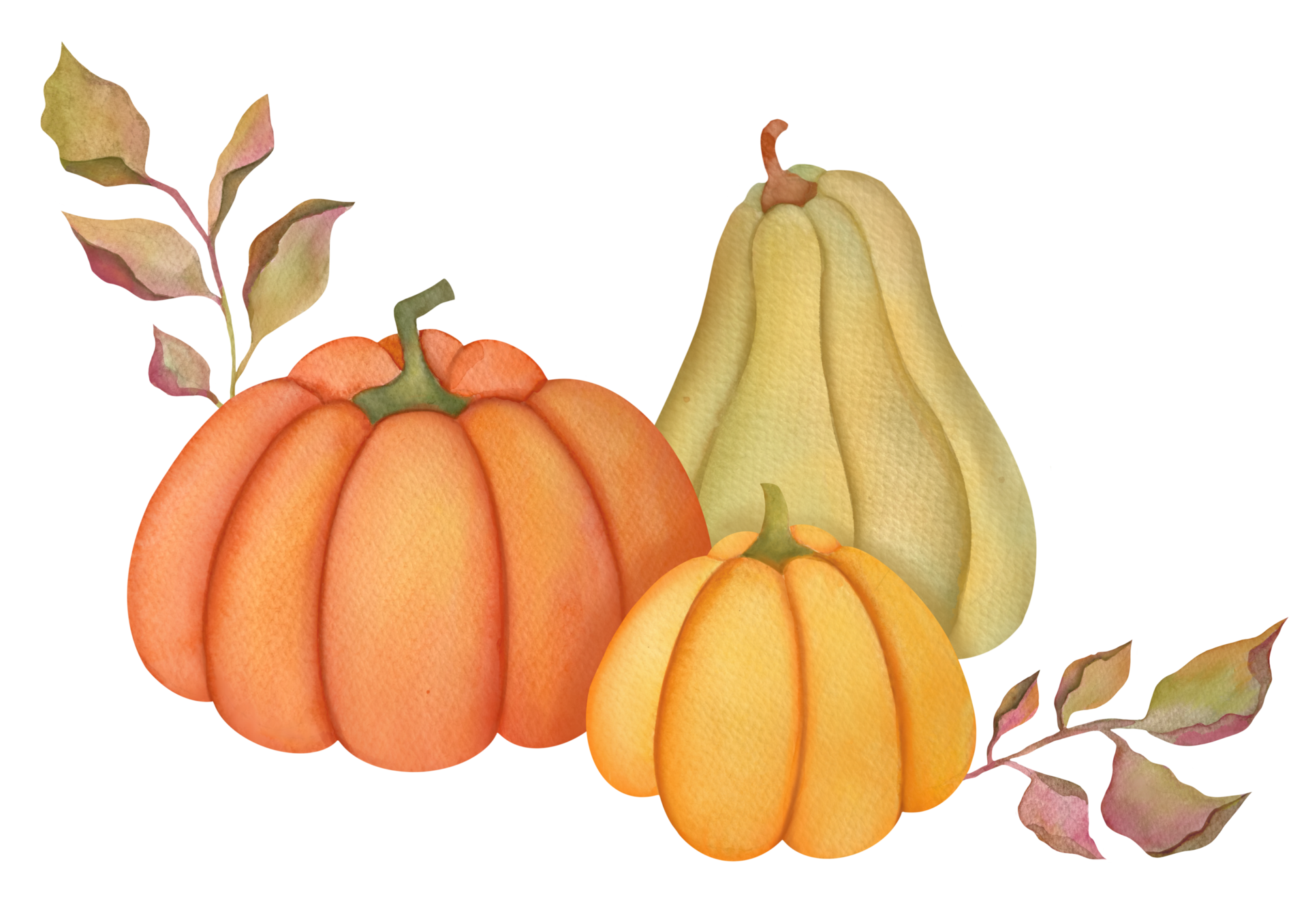 watercolor autumn pumpkins, leaves, Isolated on transparent background